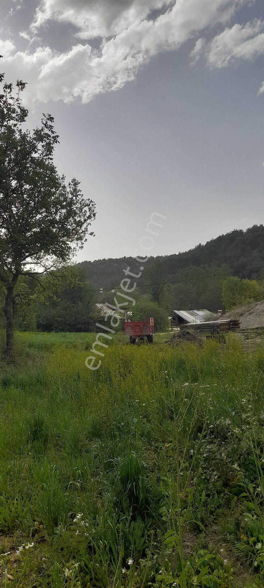 Konut İmarlı Asvalt Cephe Sakarya Geyve Taraklı Termal Dibi Sahibinden Arsa - Görsel 12