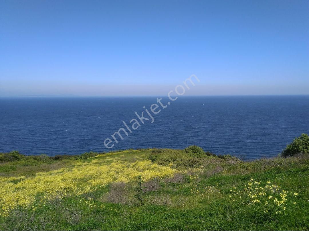 Mudanya Esence Satılık Tarla MUDİ EMLAK'TAN KAPANMAZ DENİZ MANZARALI, RESMİ TAPULU UYGUN FİYATA FİRSAT TARLA