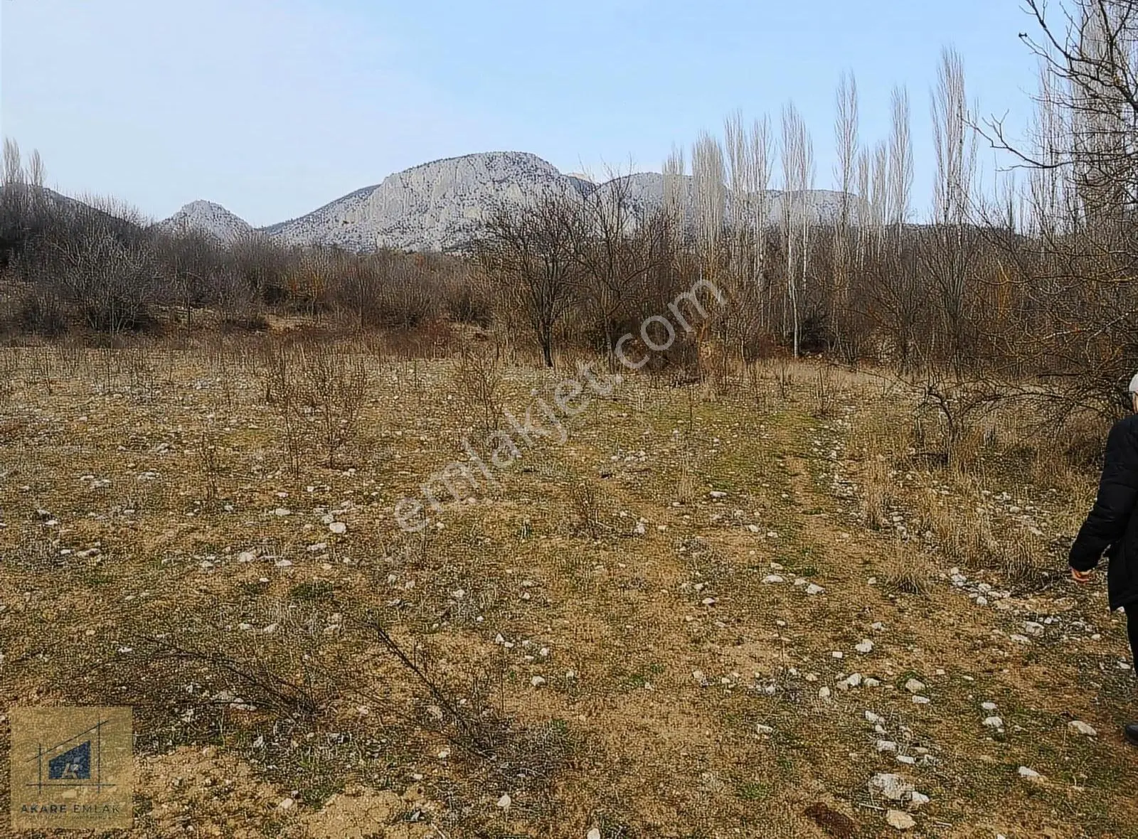 Bilecik Söğüt Tuzaklı Sulu Tarla - Yan Parsellerle Genişletilir - Görsel 4