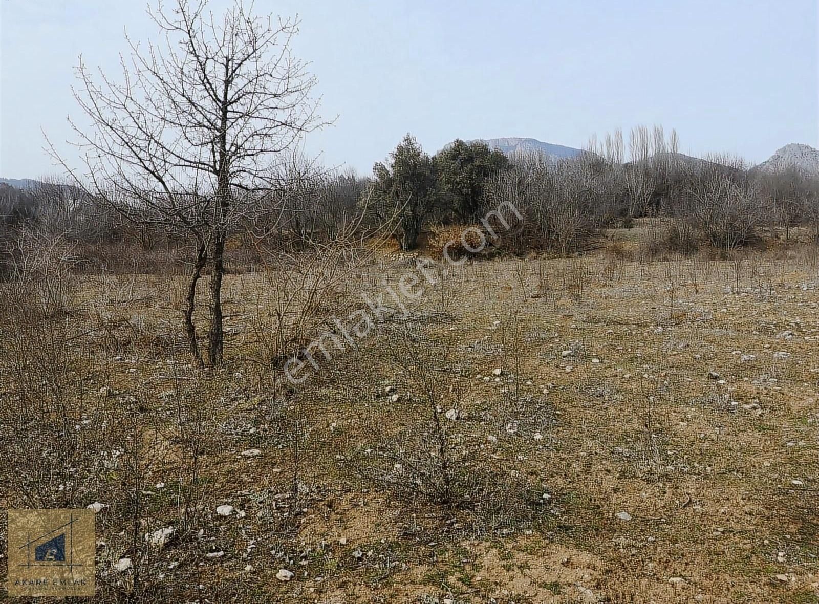 Söğüt Tuzaklı Köyü Satılık Tarla Bilecik Söğüt Tuzaklı Sulu Tarla - Yan Parsellerle Genişletilir