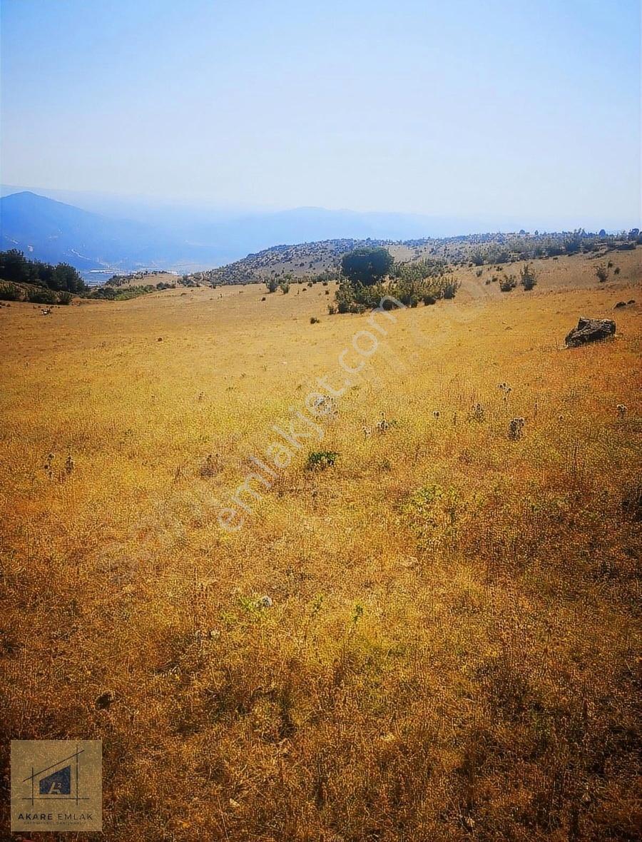 Bilecik Söğüt Tuzaklı Köye Yakın Tarla - Görsel 8