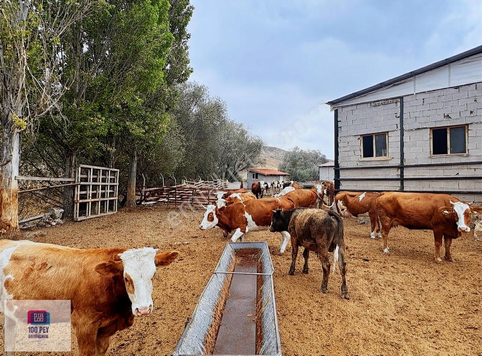 Haymana Mandıra Satılık Çiftlik Evi HAYMANA MANDIRA(KARAÖMERLİ)'DE SATILIK BÜYÜKBAŞ KÜÇÜKBAŞ ÇİFTLİK