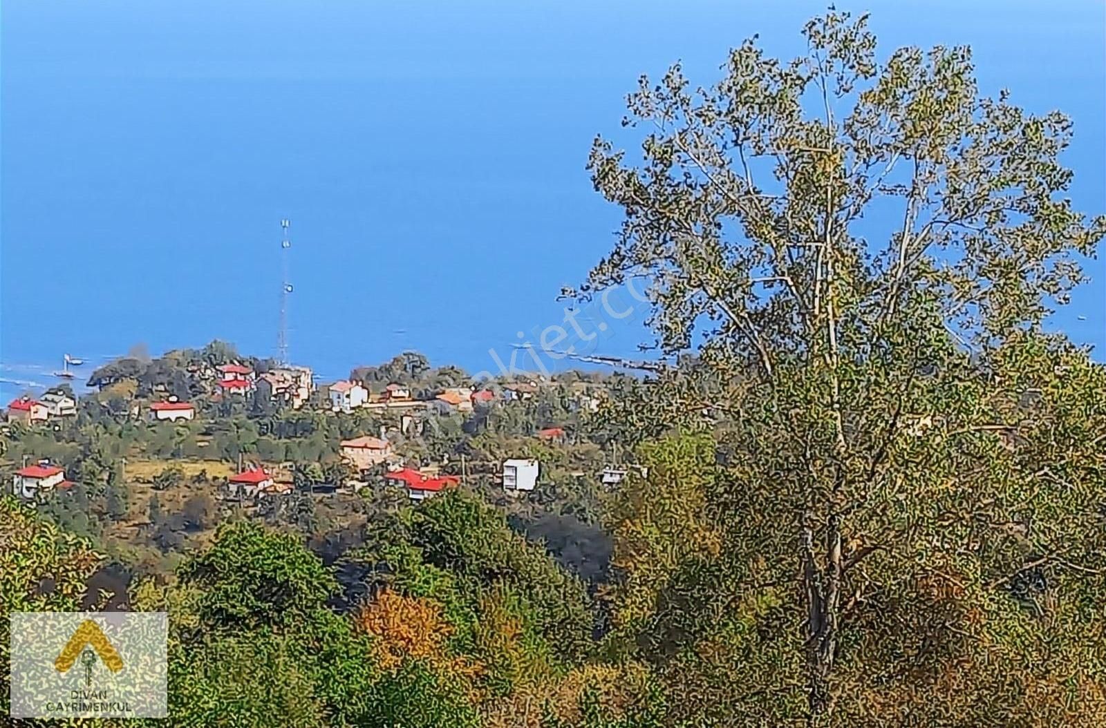 Perşembe Çaytepe Satılık Tarla DİVAN GAYRİMENKUL YASON BURNUN'DA DENİZ MANZARALI SATILIK ARSA