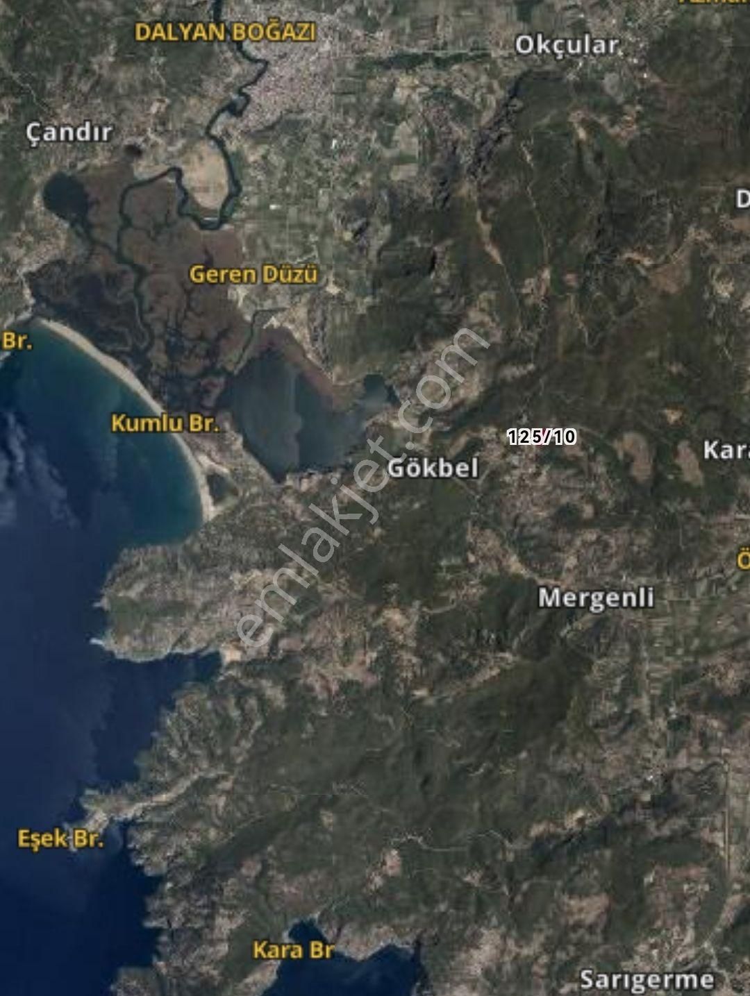Dalyan İztuzu Plajına Yakın 2650 M2 Satılık Tarla - Görsel 5