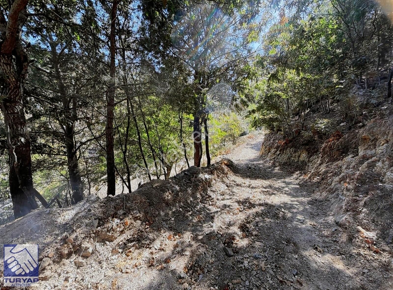 Havran Çakırdere'de Satılık Suyu Olan Asfalta Sıfır Bahçe - Görsel 10