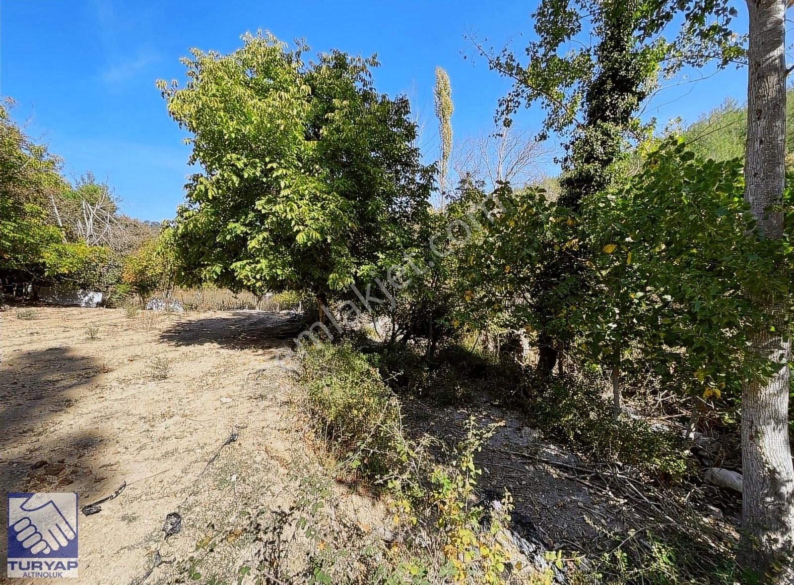 Havran Çakırdere'de Satılık Suyu Olan Asfalta Sıfır Bahçe - Görsel 7