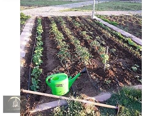 Selçuklu Tepekent Satılık Bağ & Bahçe ÇAĞLAK GAYRİMENKUL den Satılık Hobi Bahçeleri...