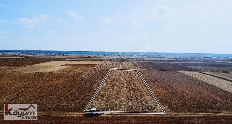 Lüleburgaz Ertuğrul Köyü Satılık Tarla Ertuğrul Köy De 3000m.ulaşımı Kolay Arazi