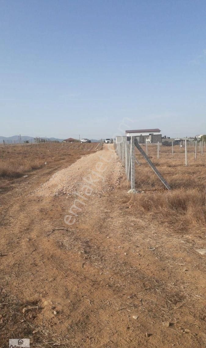 Menderes Develi Satılık Bağ & Bahçe Öğretmen Emlaktan Develide Harika Konumda Hisseli Bağ Bahçe