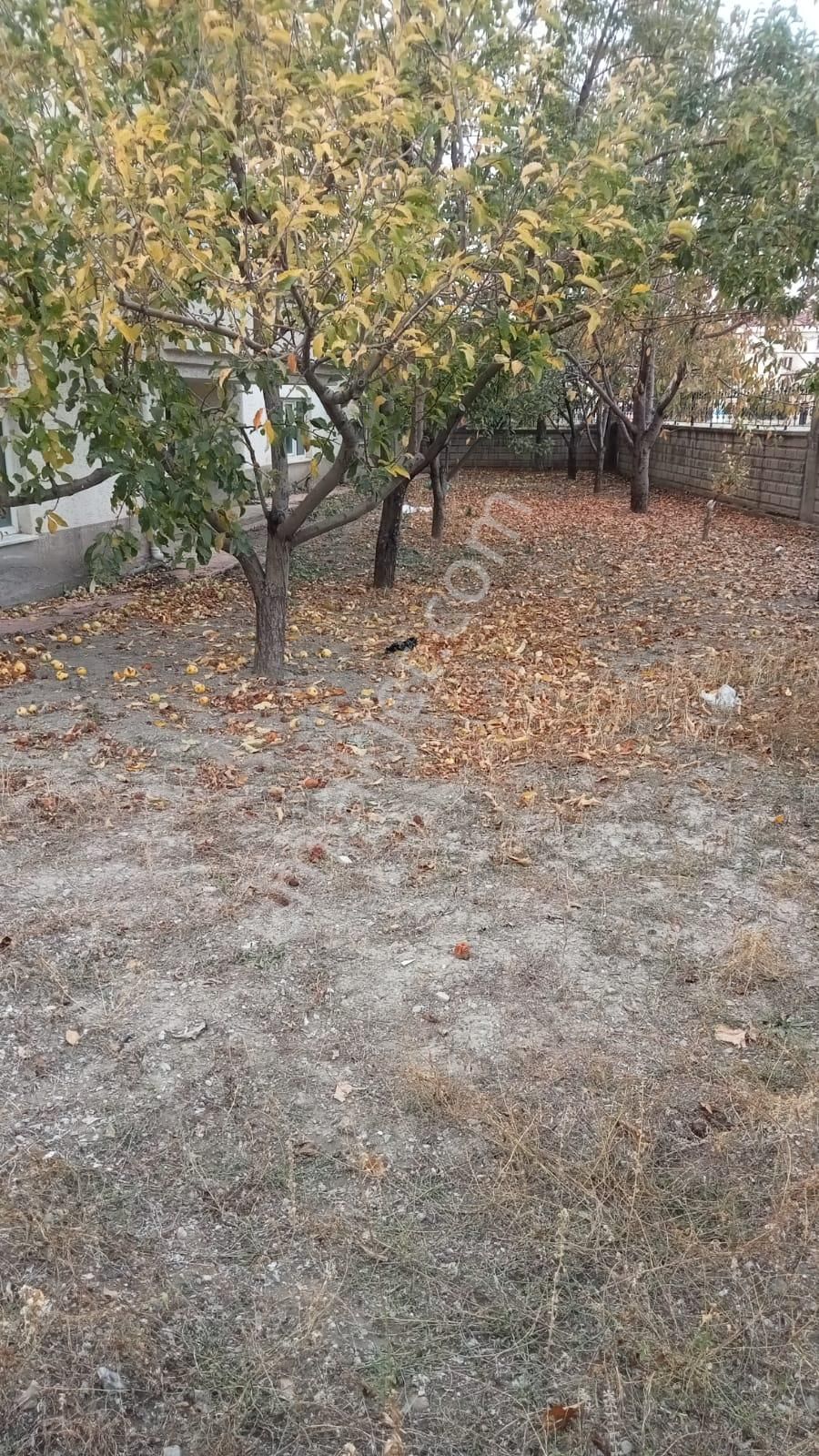 Şarkışla Hsk Rönesans Emlak^tan Esentepede Satılık Komple Bina - Görsel 5