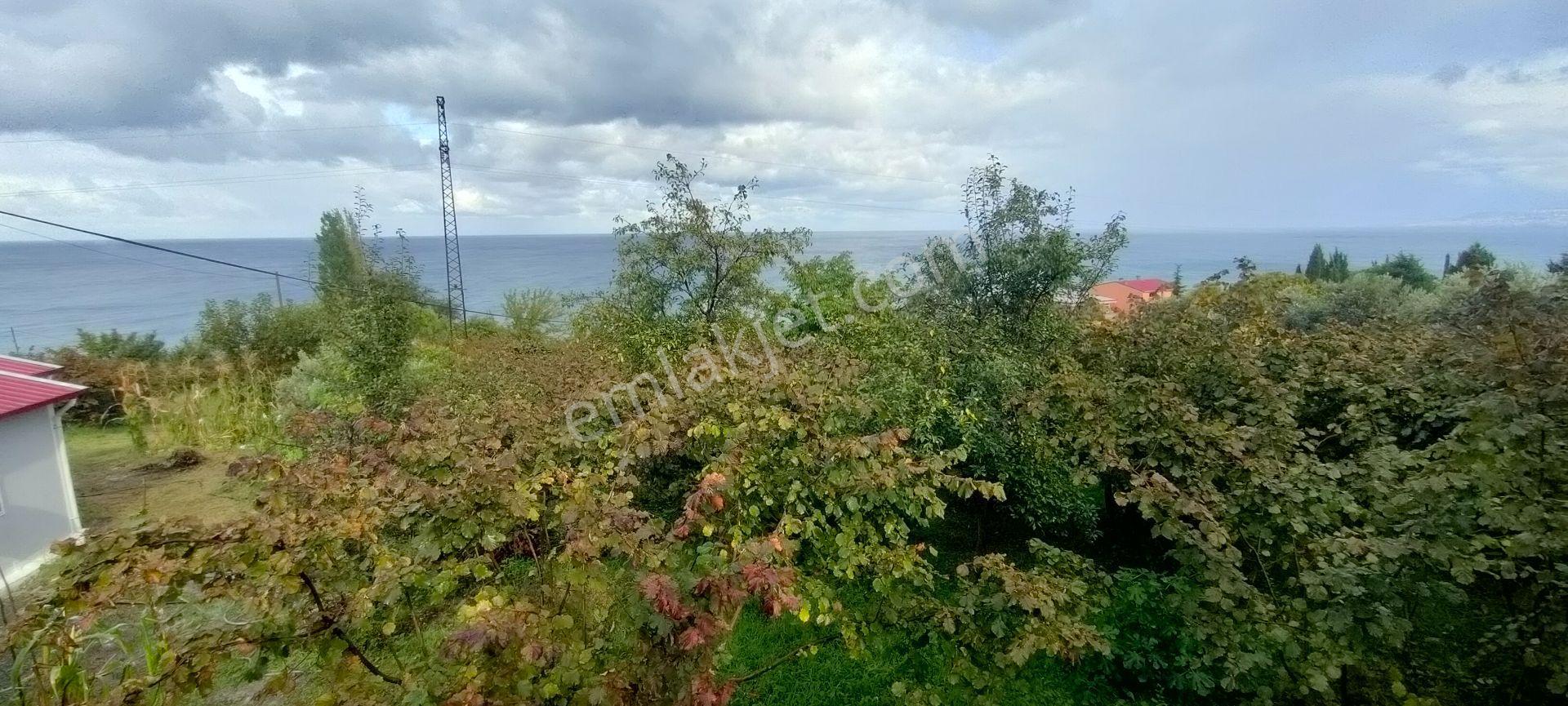 Akçaabat Akçakale Zeytinlik De Satılık Mükemmel Arsa - Görsel 31