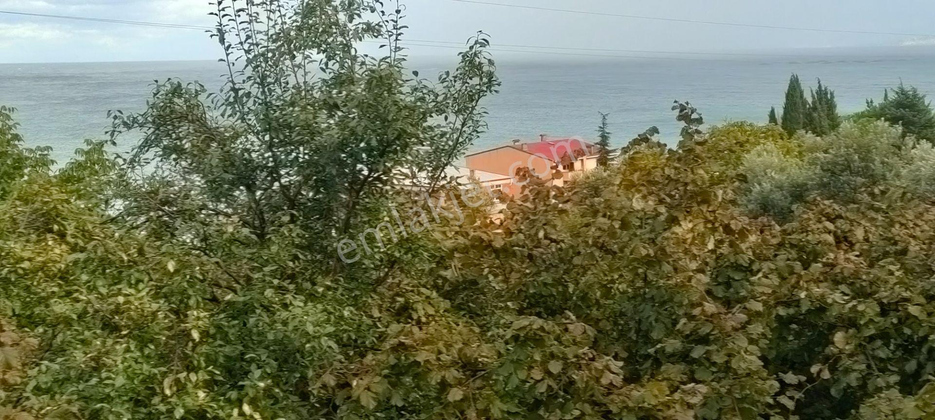 Akçaabat Akçakale Zeytinlik De Satılık Mükemmel Arsa - Görsel 20