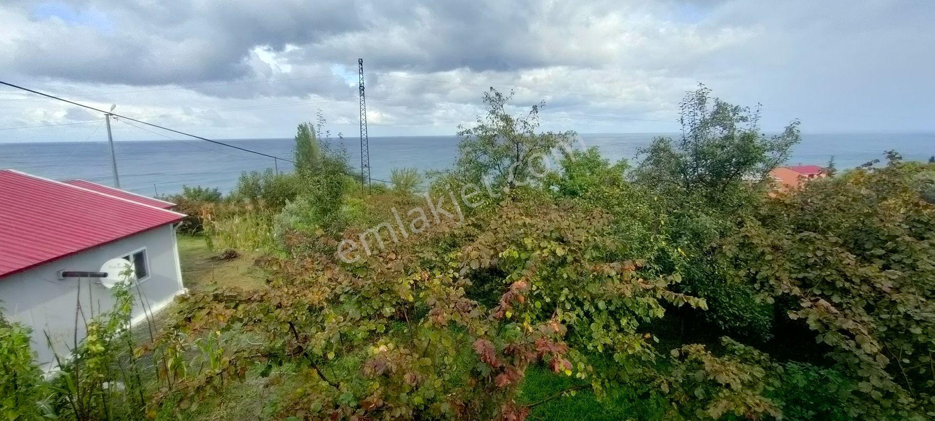 Akçaabat Akçakale Zeytinlik De Satılık Mükemmel Arsa - Görsel 32