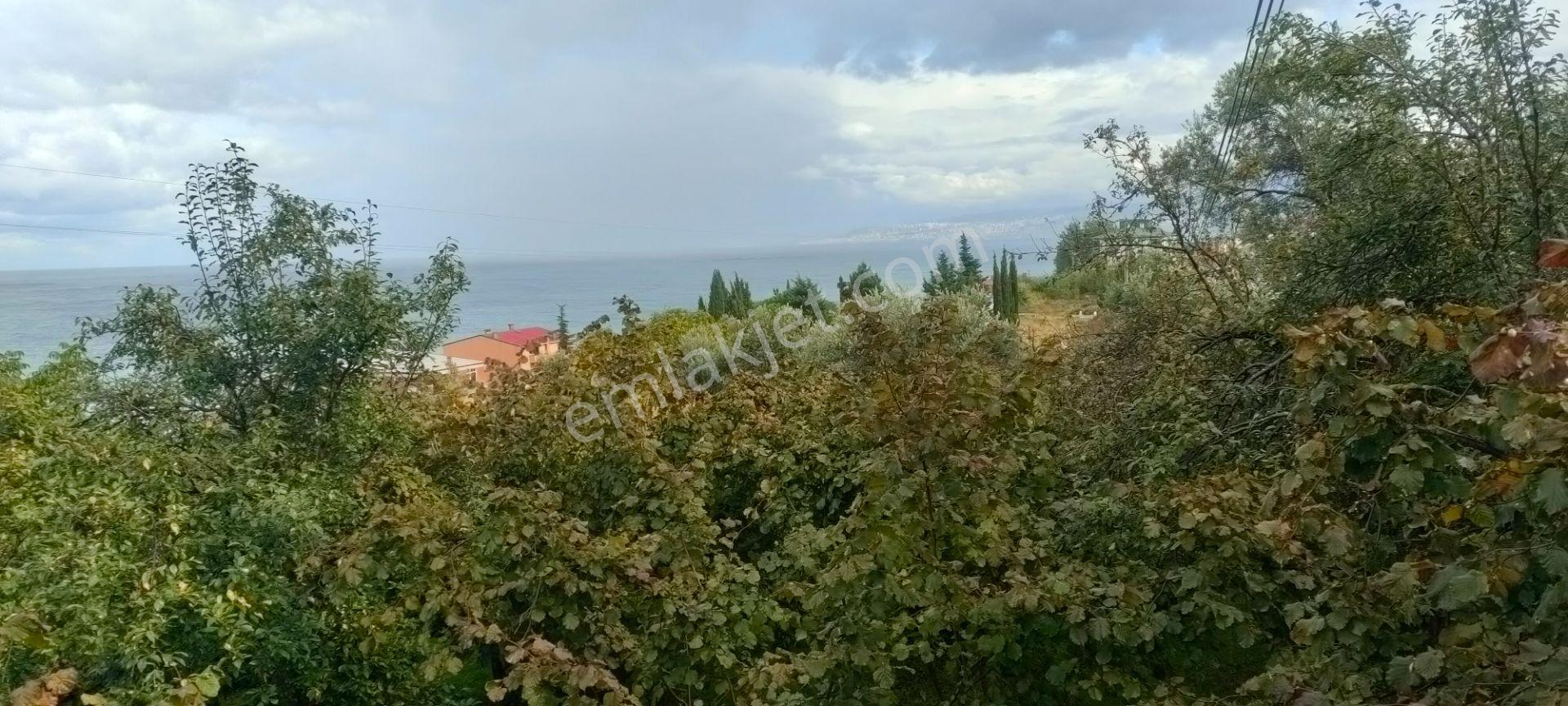Akçaabat Akçakale Zeytinlik De Satılık Mükemmel Arsa - Görsel 16