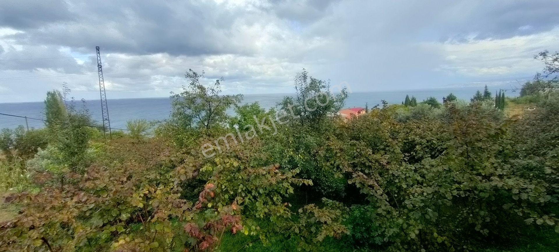 Akçaabat Akçakale Zeytinlik De Satılık Mükemmel Arsa - Görsel 22