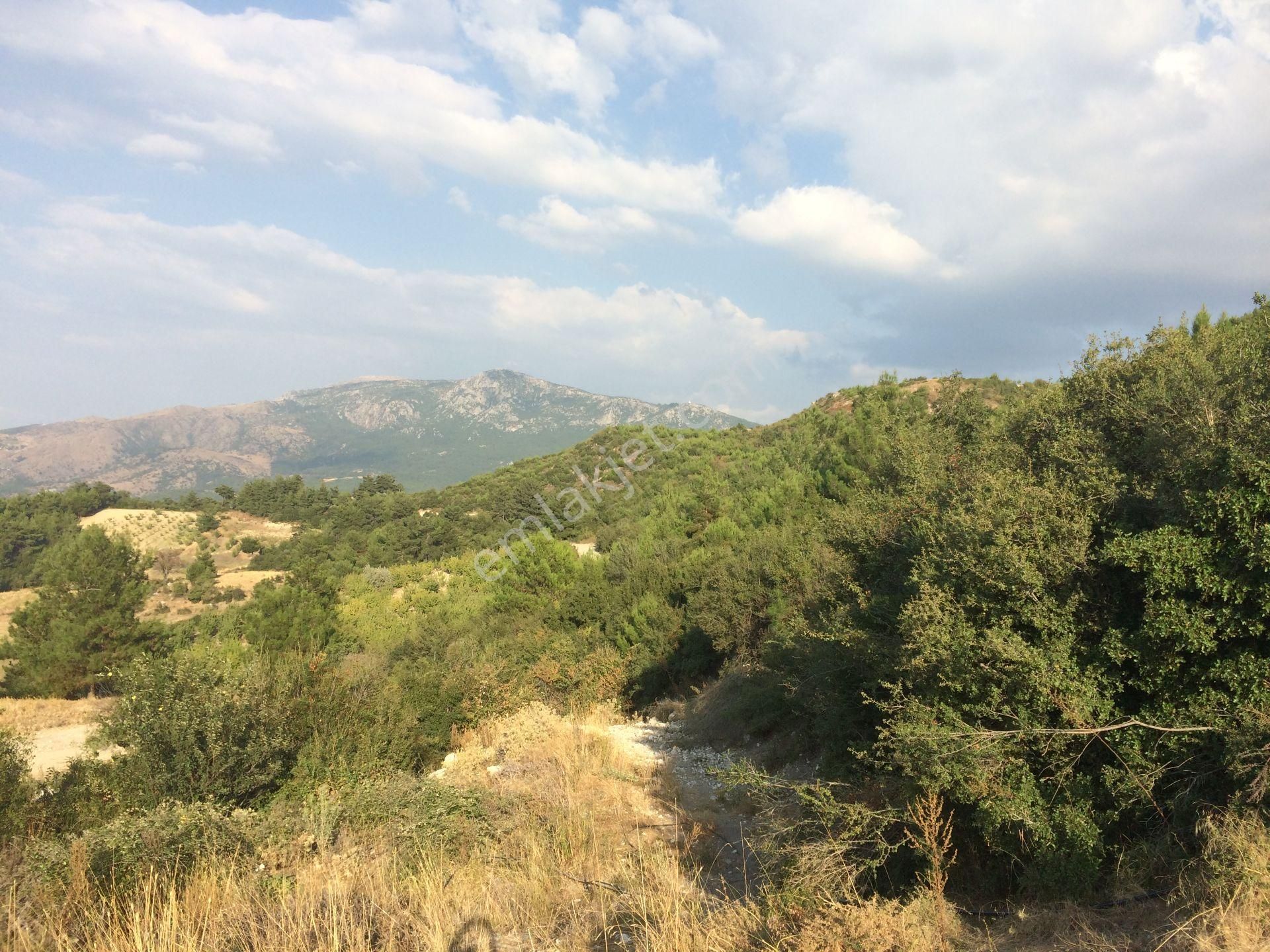 Yunusemre Karakoca Satılık Tarla Muhteşem Orman Ve Doğa Manzaralı Yatırımlık Arazi