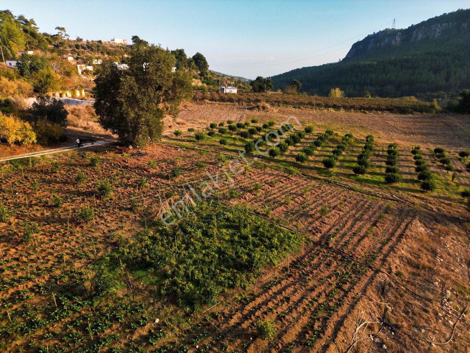 Erdemli Kösbucağı Satılık Tarla ERDEMLİ KÖSBUCAĞI MAHALLESİNDE 8.407 m2 TEK TAPU TARLA