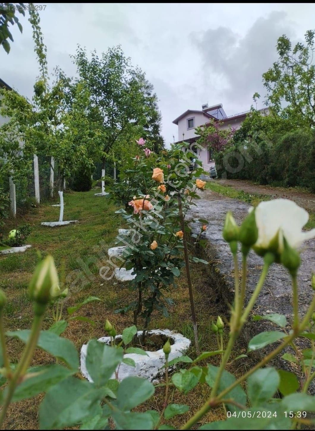 Tirebolu Menderes Köyü (Bük) Satılık Tarla GİRESUN TİREBOLU'DA MÜSTAKİL DUBLEKS VİLLA VE BAHÇE