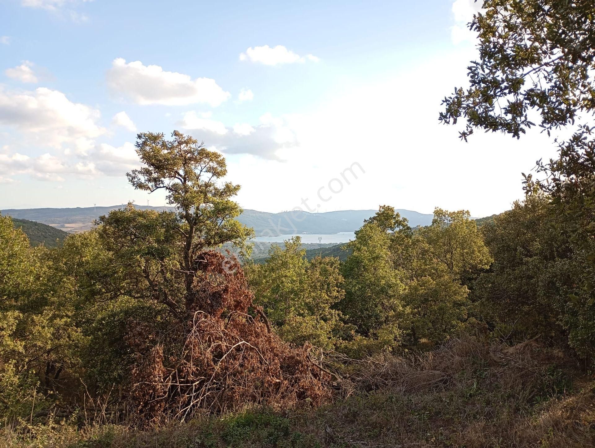 Erdek Yukarıyapıcı Satılık Bağ & Bahçe Balıkesir Erdek Yukarıyapıcı Mah. 1.150 M2 Satılık Bağ Deniz Manzarası Yatırımlık