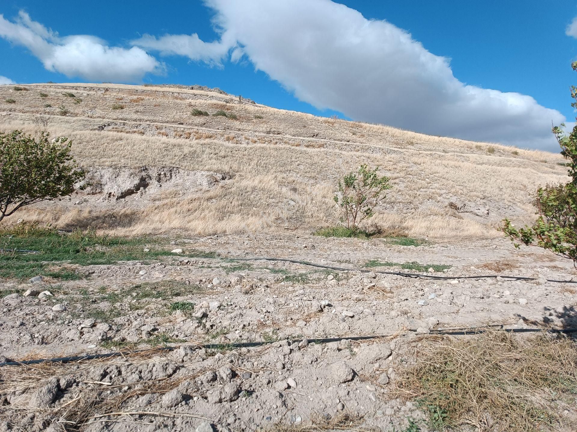 Yeşilyurt Kırkpınar Satılık Tarla Bulut Emlak'tan Sulu Tarla