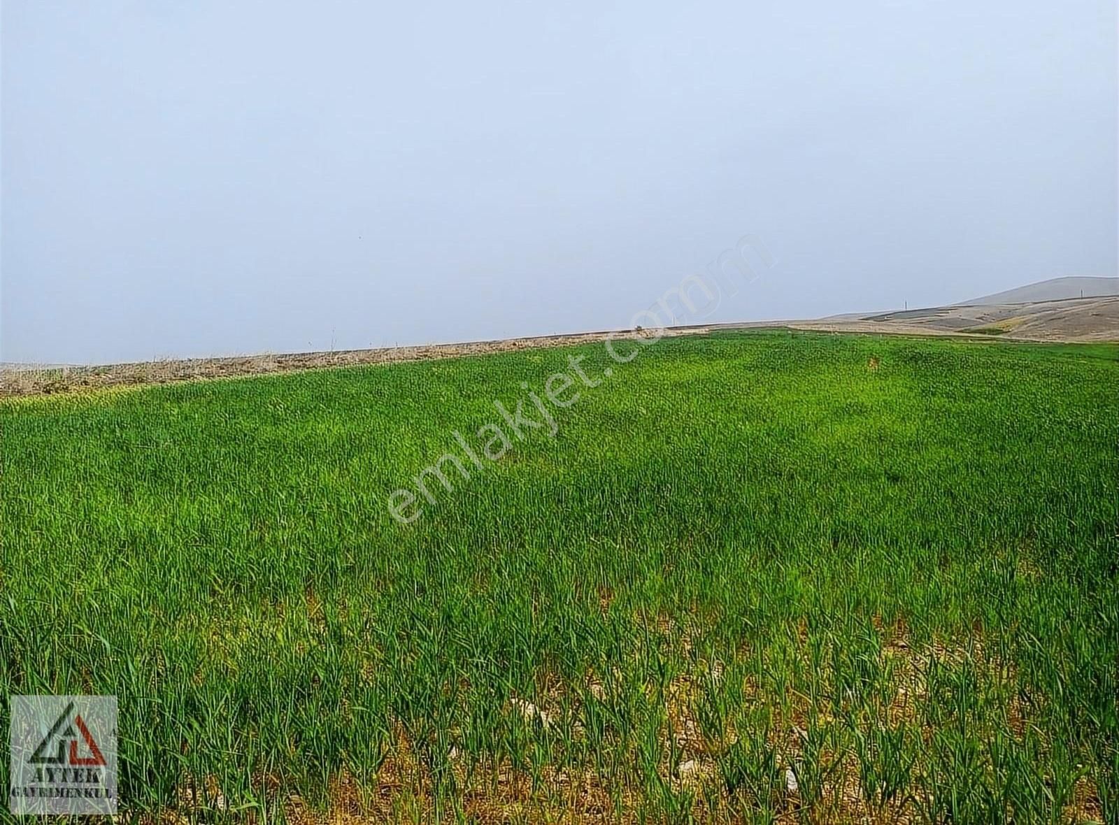 Afyon Sultandağı Üçkuyu Pınarlı 144 1 13750 M2 Tarla - Görsel 21