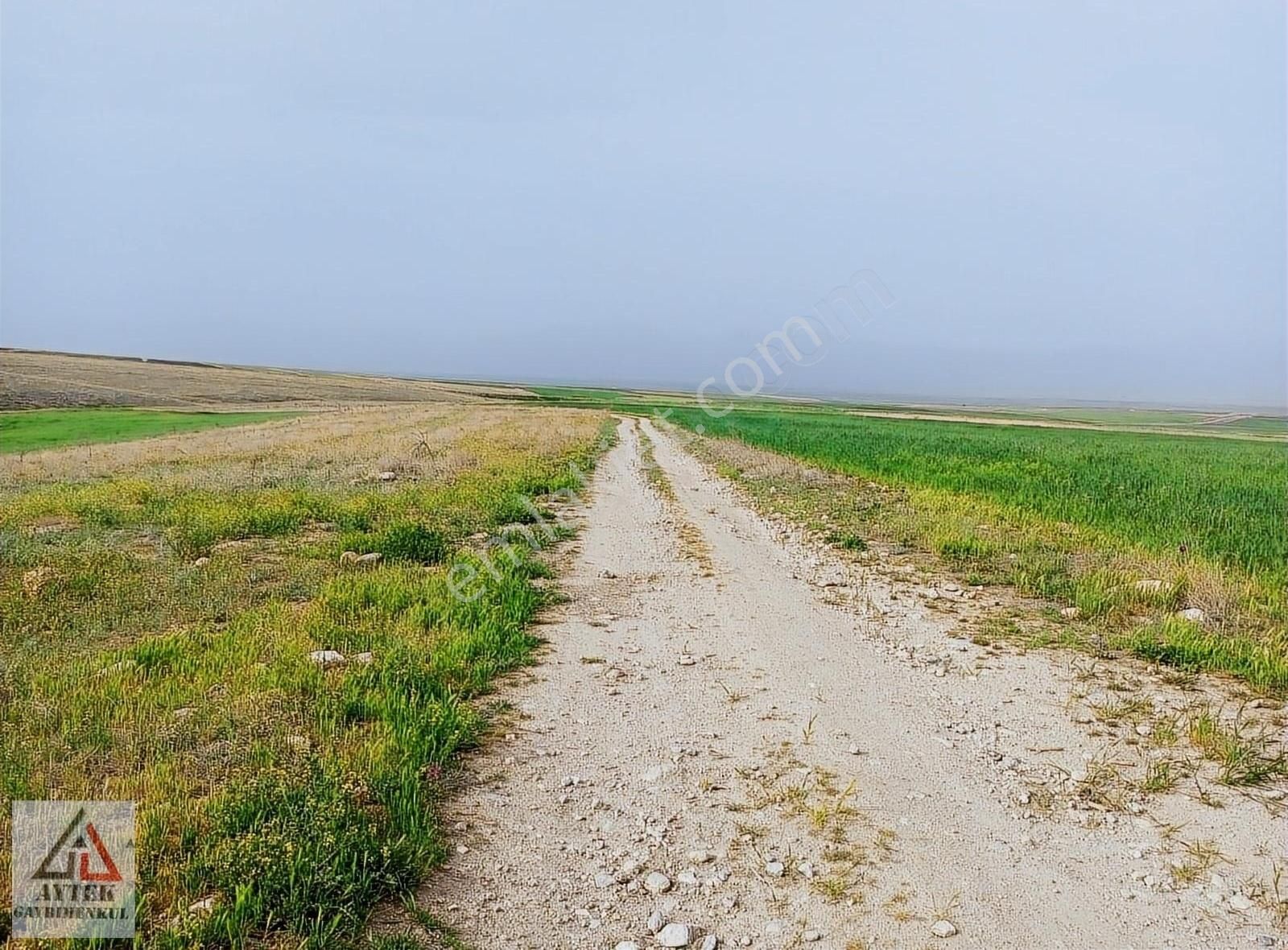 Afyon Sultandağı Üçkuyu Pınarlı 144 1 13750 M2 Tarla - Görsel 26