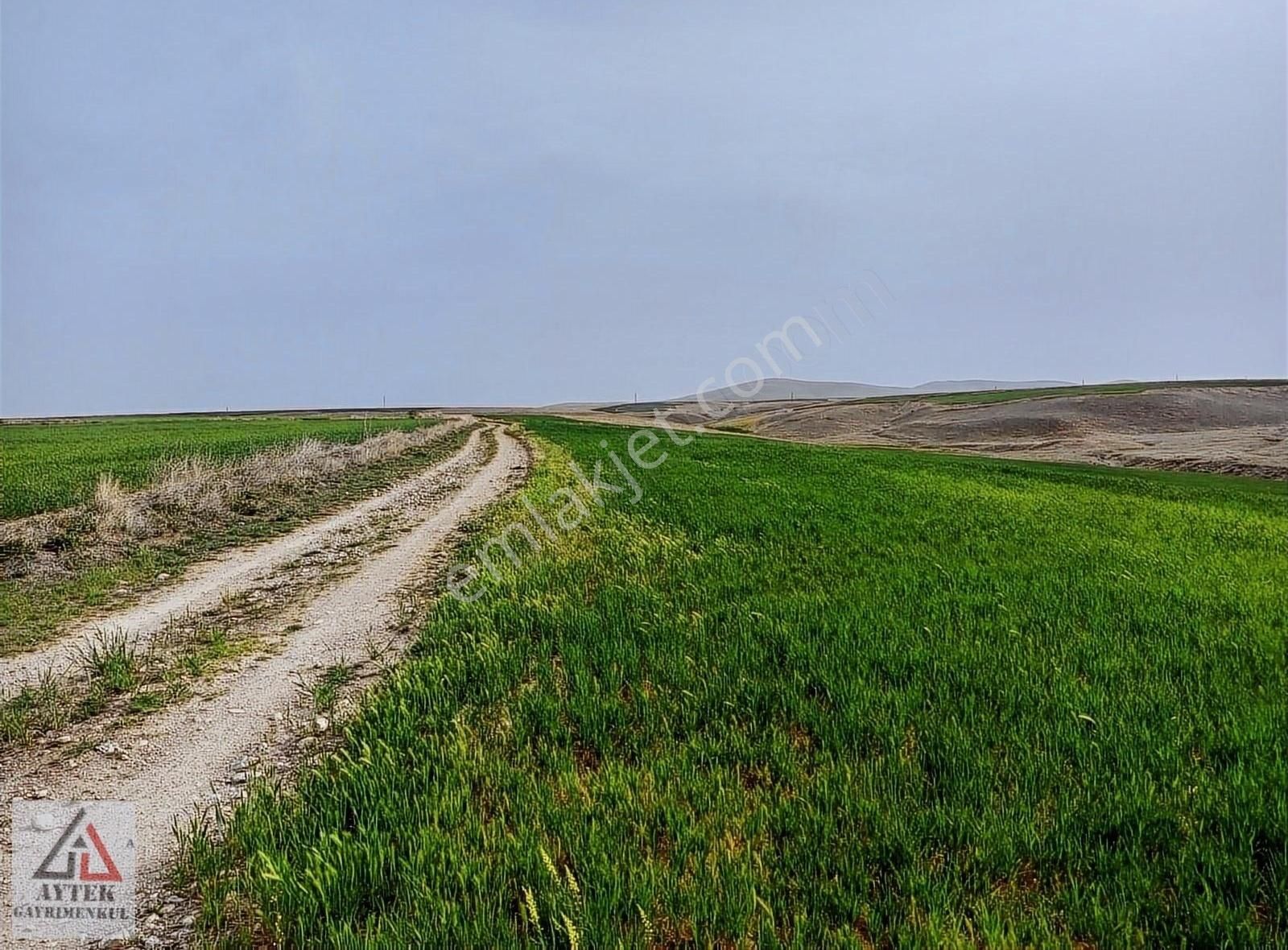 Afyon Sultandağı Üçkuyu Pınarlı 144 1 13750 M2 Tarla - Görsel 31
