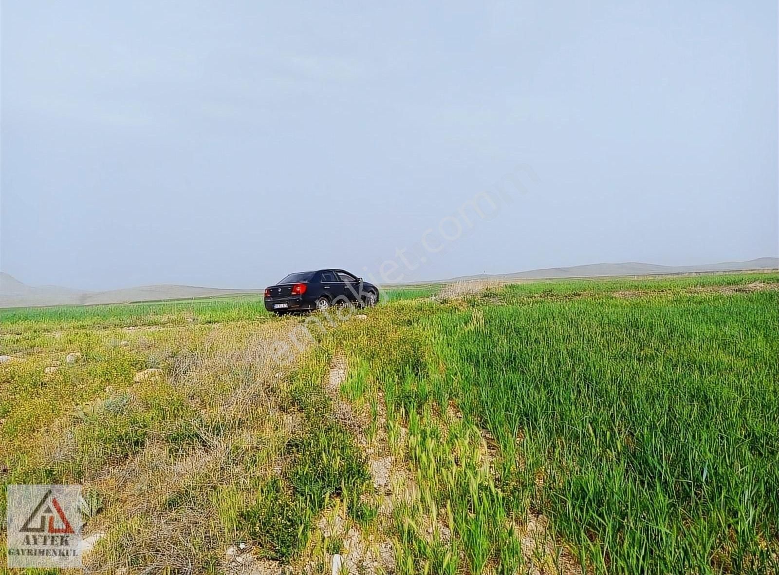 Afyon Sultandağı Üçkuyu Pınarlı 144 1 13750 M2 Tarla - Görsel 7