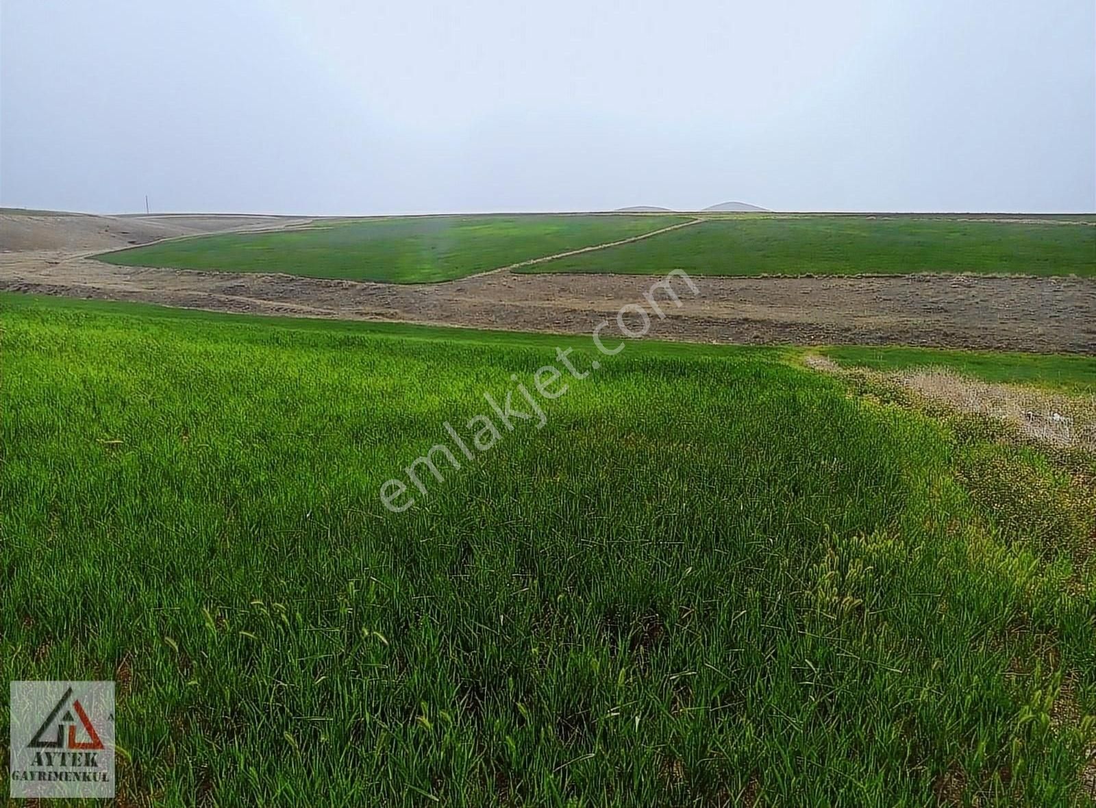 Afyon Sultandağı Üçkuyu Pınarlı 144 1 13750 M2 Tarla - Görsel 22