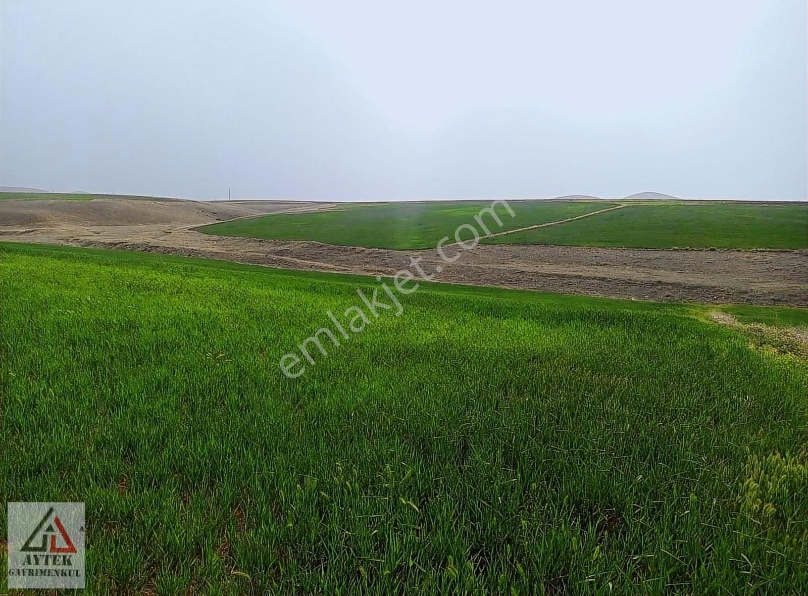 Afyon Sultandağı Üçkuyu Pınarlı 144 1 13750 M2 Tarla - Görsel 19