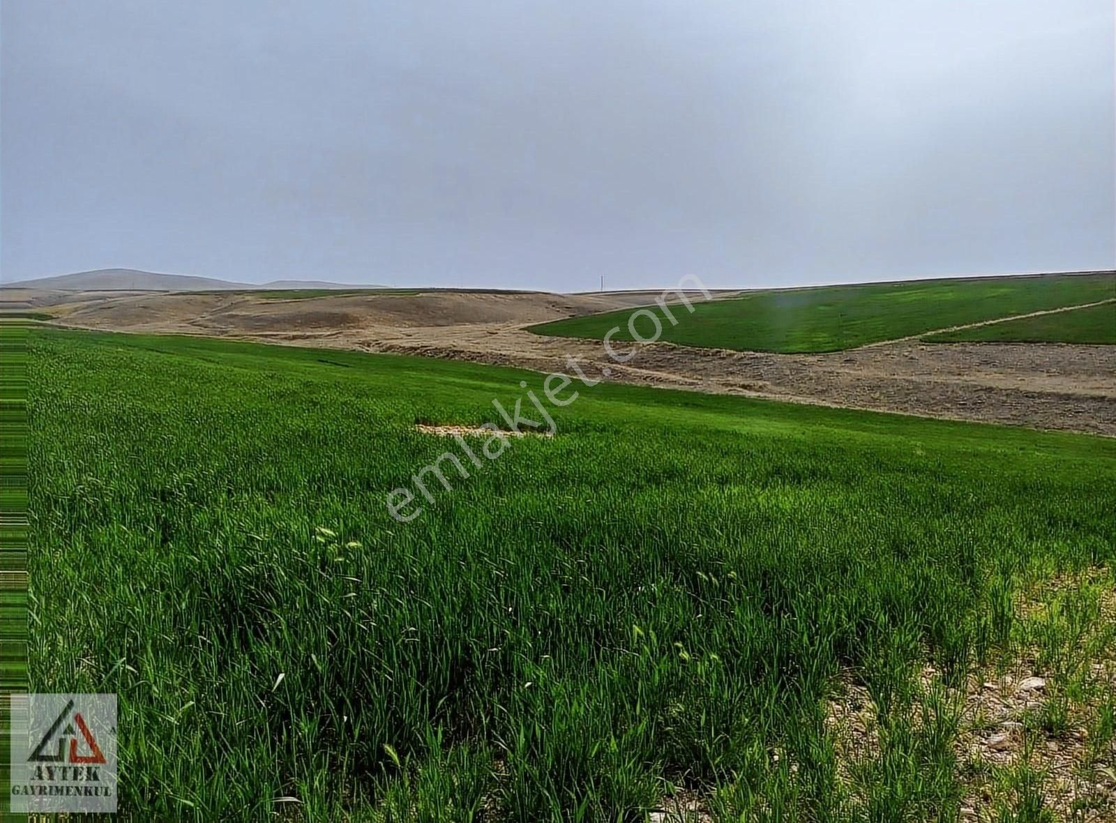 Afyon Sultandağı Üçkuyu Pınarlı 144 1 13750 M2 Tarla - Görsel 18