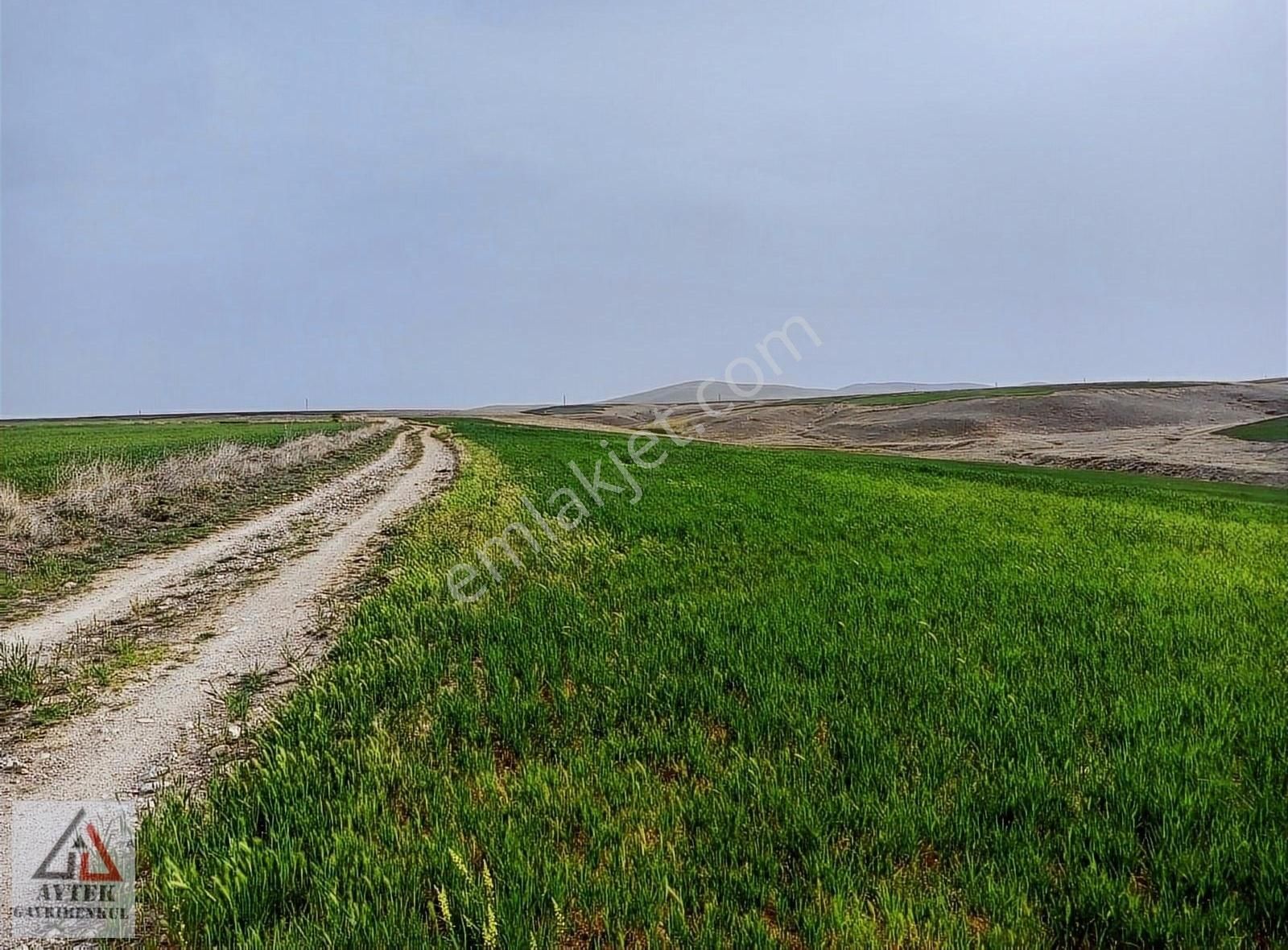 Afyon Sultandağı Üçkuyu Pınarlı 144 1 13750 M2 Tarla - Görsel 24