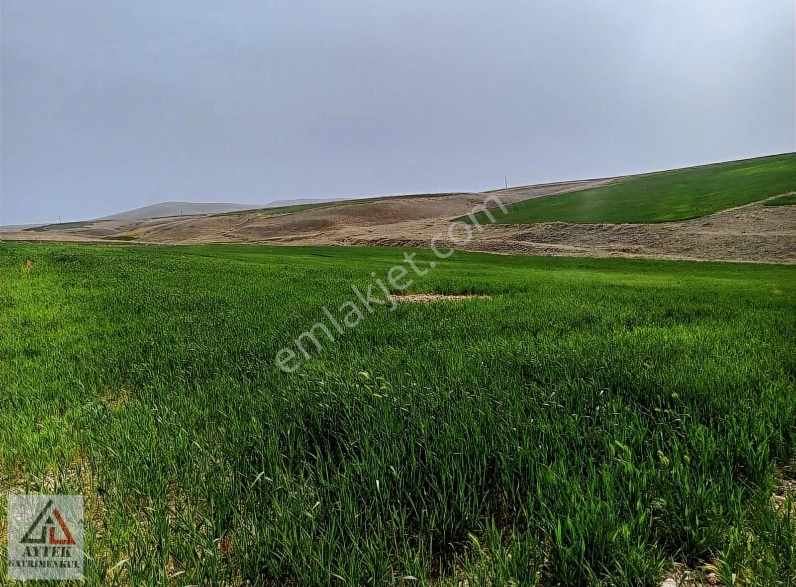 Afyon Sultandağı Üçkuyu Pınarlı 144 1 13750 M2 Tarla - Görsel 14