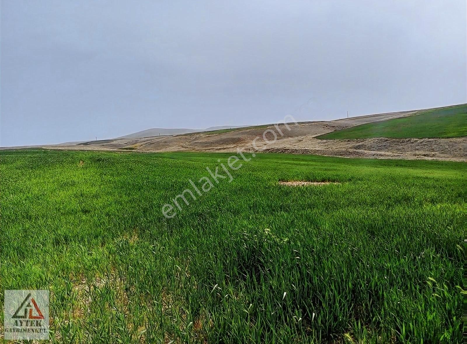 Afyon Sultandağı Üçkuyu Pınarlı 144 1 13750 M2 Tarla - Görsel 27