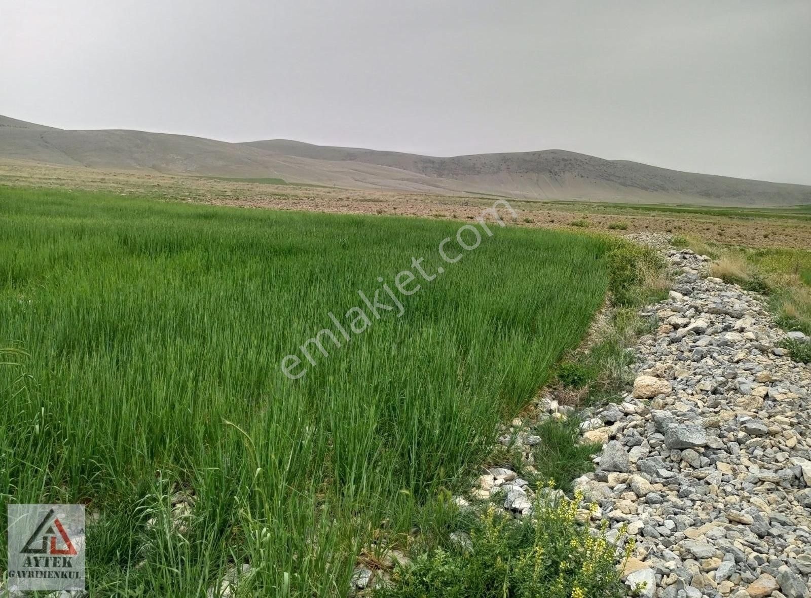 Afyon Sultandağı Cukurcak Köyünde Kelepir 10200 M2 Arsa - Görsel 9