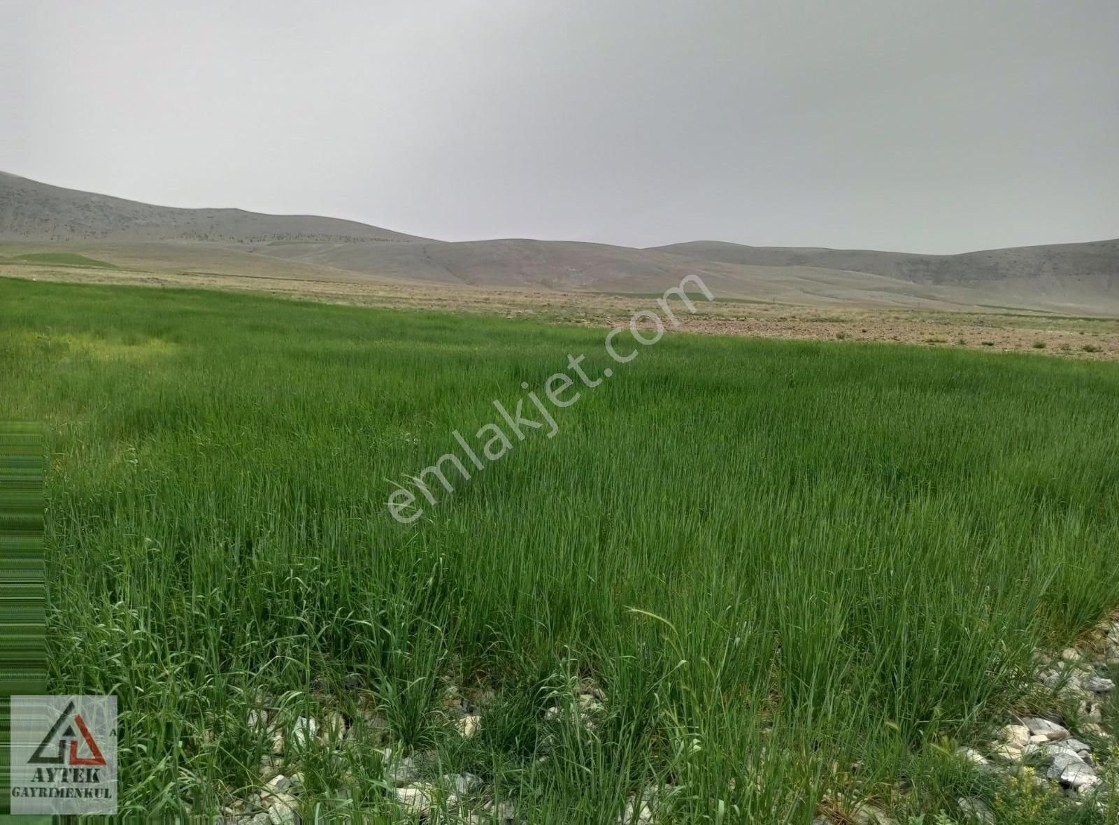 Afyon Sultandağı Cukurcak Köyünde Kelepir 10200 M2 Arsa - Görsel 20