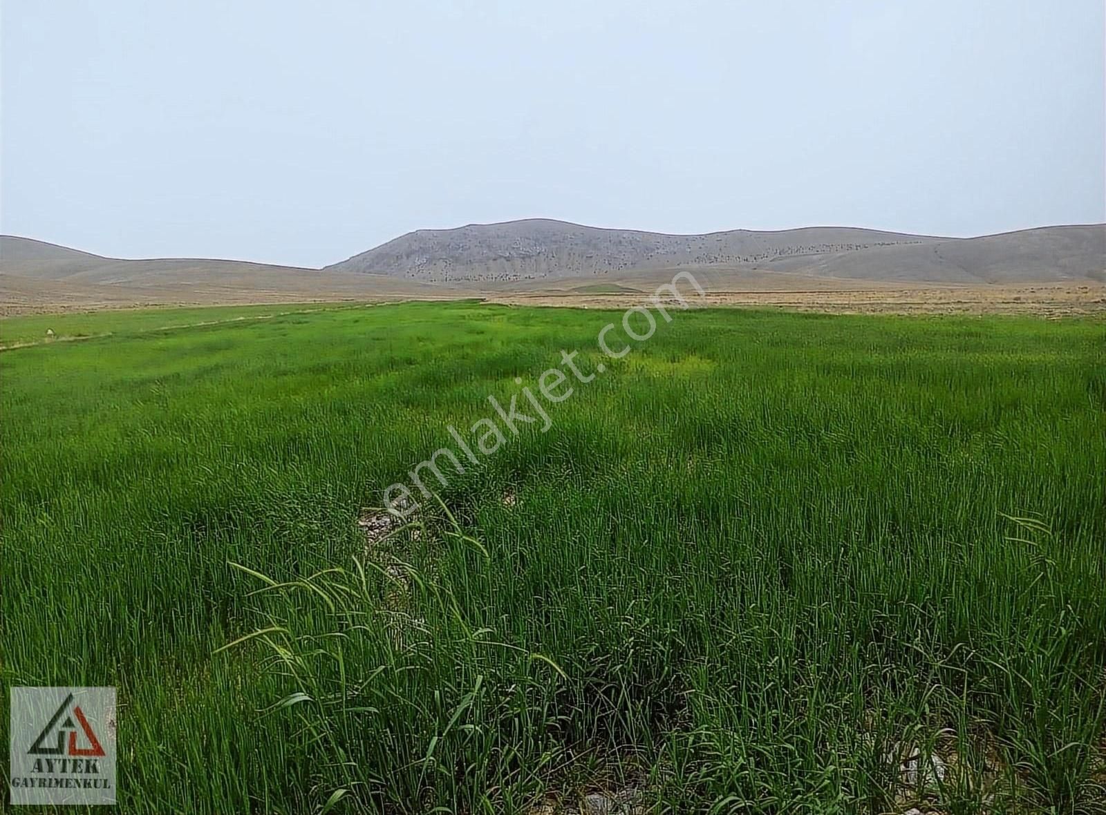 Afyon Sultandağı Cukurcak Köyünde Kelepir 10200 M2 Arsa - Görsel 2
