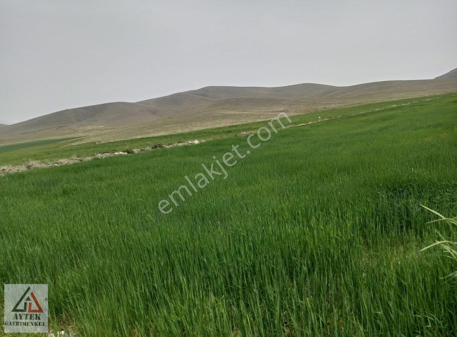 Afyon Sultandağı Cukurcak Köyünde Kelepir 10200 M2 Arsa - Görsel 29