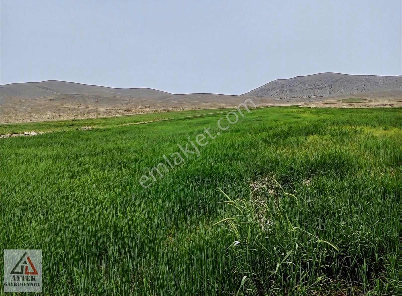 Afyon Sultandağı Cukurcak Köyünde Kelepir 10200 M2 Arsa - Görsel 5