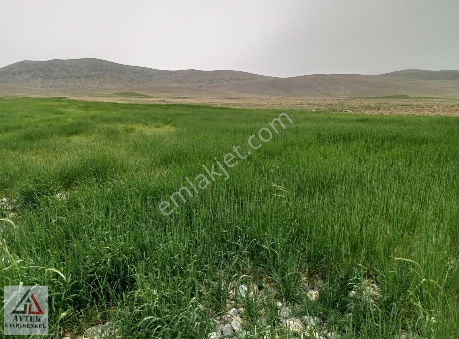 Afyon Sultandağı Cukurcak Köyünde Kelepir 10200 M2 Arsa - Görsel 25