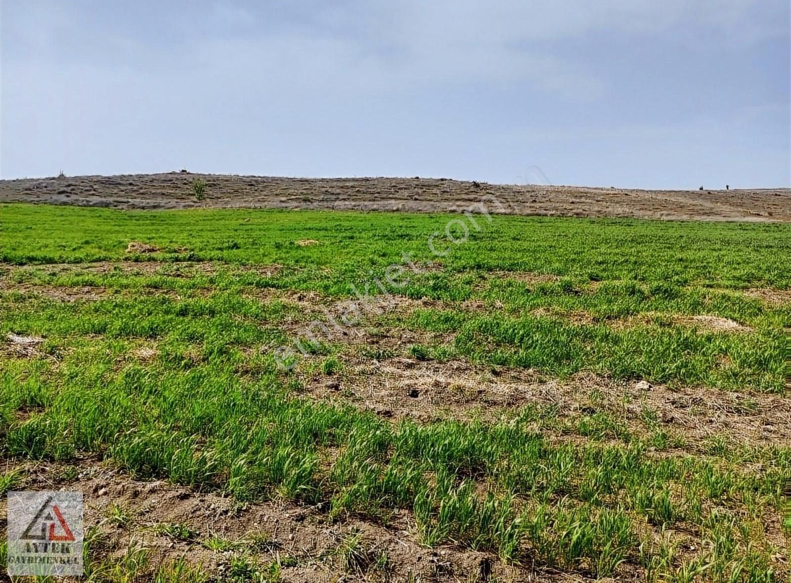 Afyonkarahisar Sandıklı Karadirek Te 8800 M2 Tarla. - Görsel 17