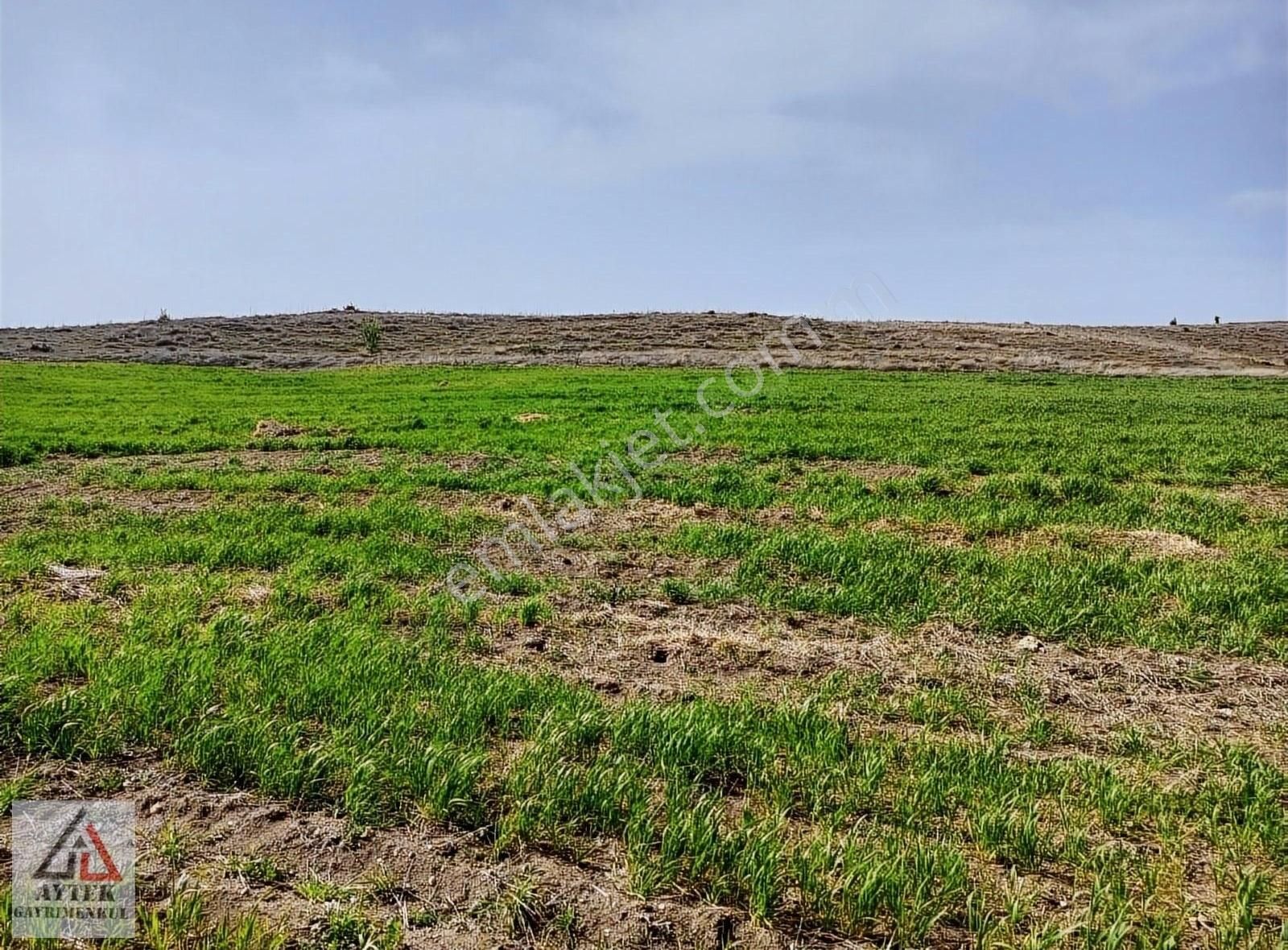 Afyonkarahisar Sandıklı Karadirek Te 8800 M2 Tarla. - Görsel 2