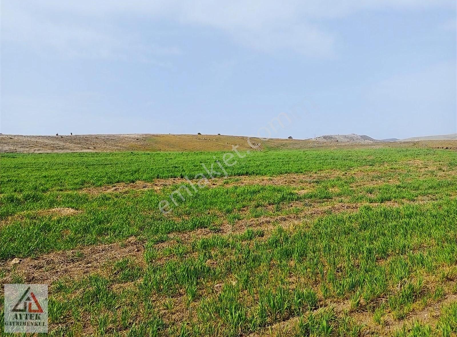 Afyonkarahisar Sandıklı Karadirek Te 8800 M2 Tarla. - Görsel 22