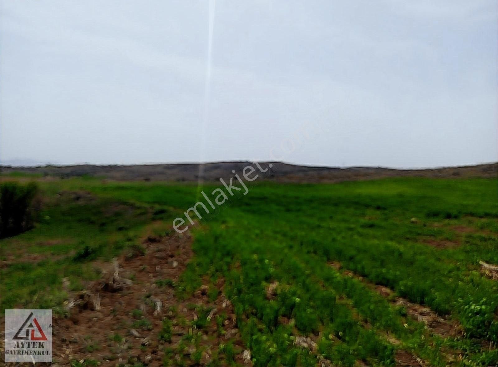 Afyonkarahisar Sandıklı Karadirek Te 8800 M2 Tarla. - Görsel 25