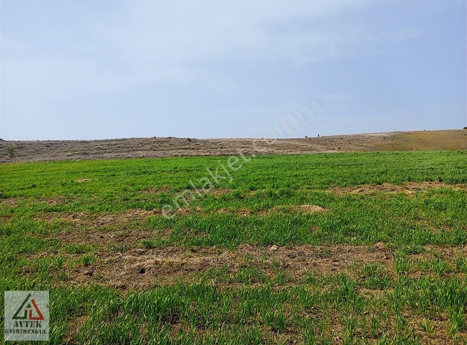 Afyonkarahisar Sandıklı Karadirek Te 8800 M2 Tarla. - Görsel 27