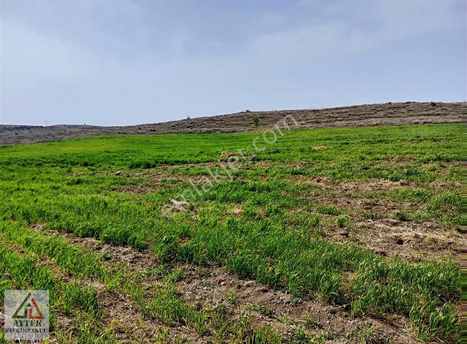 Afyonkarahisar Sandıklı Karadirek Te 8800 M2 Tarla. - Görsel 9