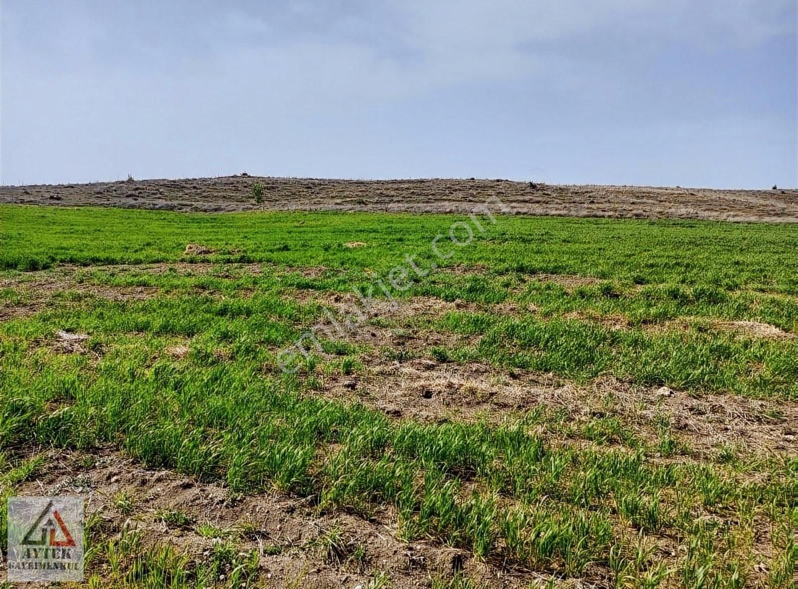 Afyonkarahisar Sandıklı Karadirek Te 8800 M2 Tarla. - Görsel 11