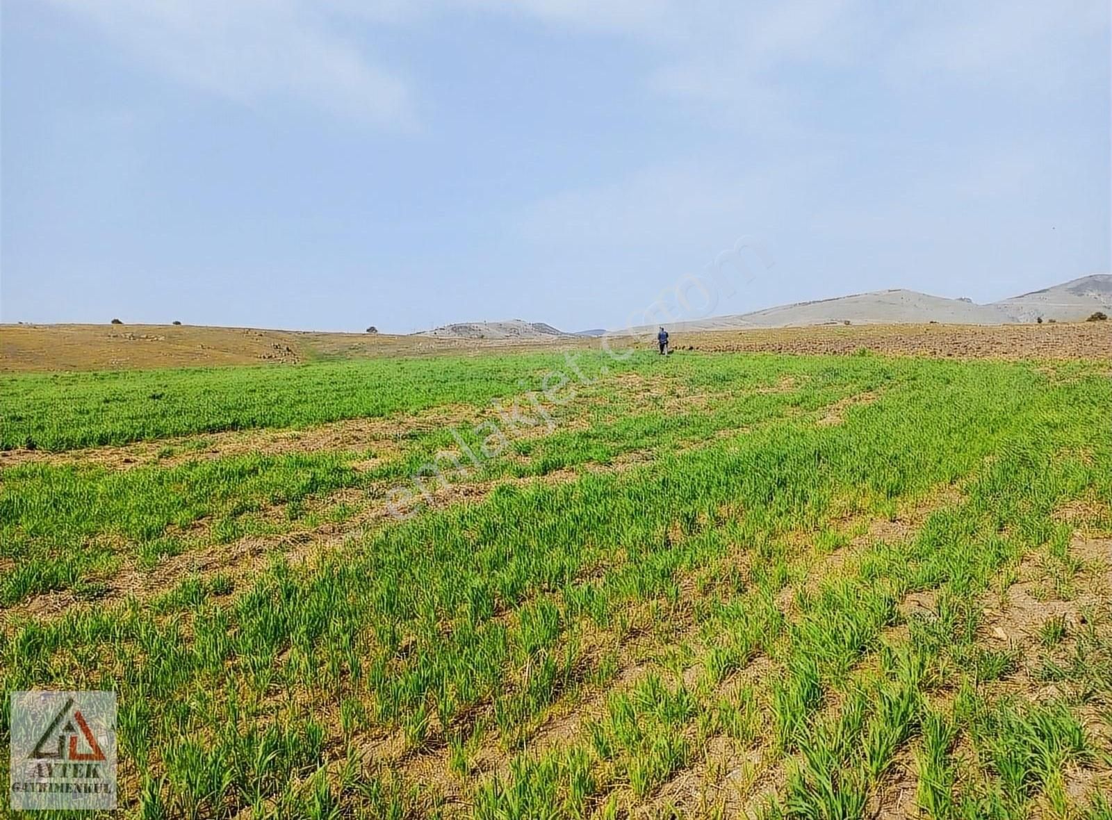 Afyonkarahisar Sandıklı Karadirek Te 8800 M2 Tarla. - Görsel 33