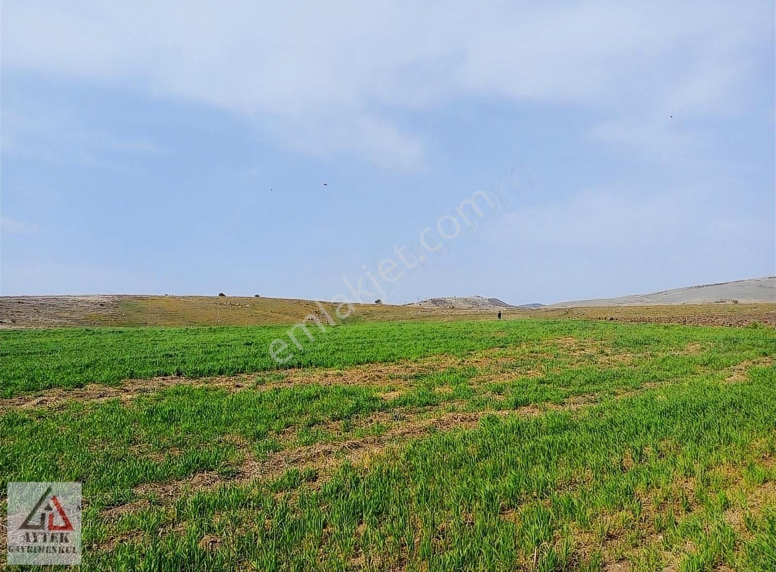 Afyonkarahisar Sandıklı Karadirek Te 8800 M2 Tarla. - Görsel 18