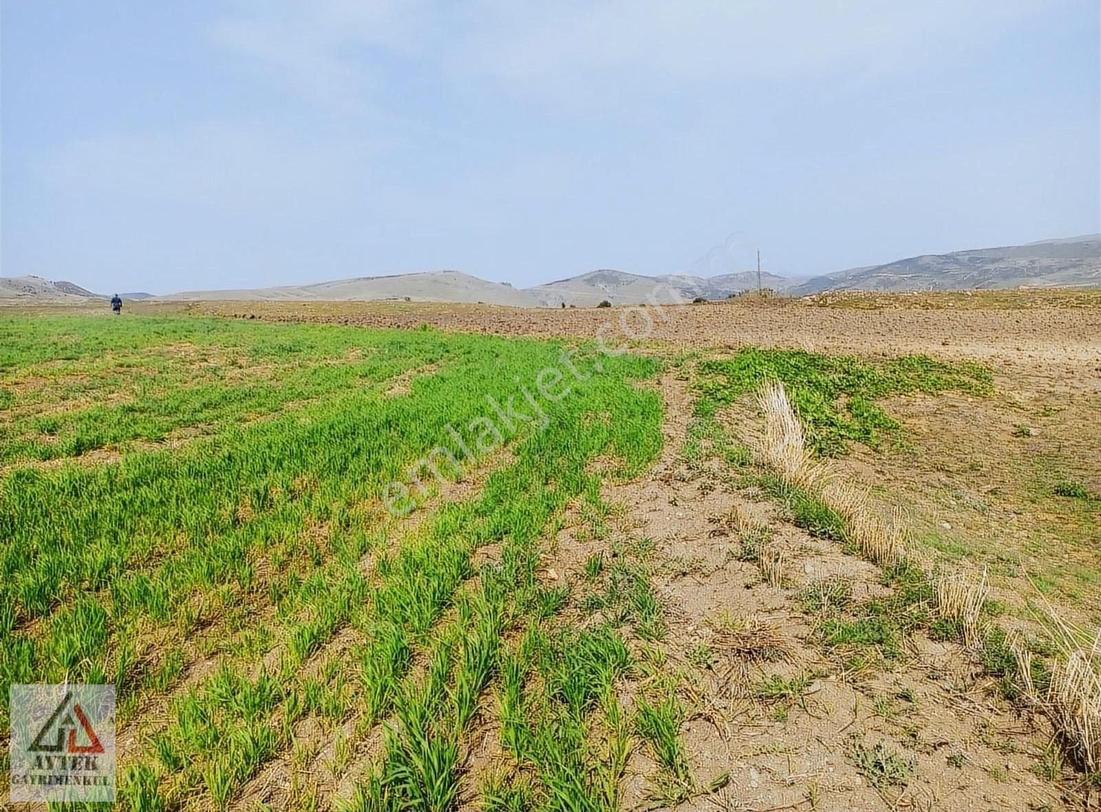 Afyonkarahisar Sandıklı Karadirek Te 8800 M2 Tarla. - Görsel 31